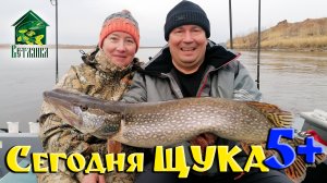 Сегодня на ветлянке - Щука на 5 плюс.