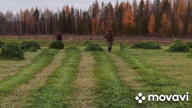 29 октября 2021 г. смотреть онлайн