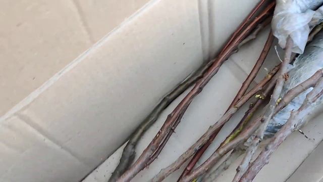 Распаковка посылки из Агромаркета. смотреть онлайн