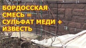 САД и ВИНОГРАД. ОБРАБОТКИ РАННЕЙ ВЕСНОЙ