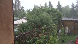 Работа с виноградом и садом в июле ПОСЛЕ ЛИВНЕЙ