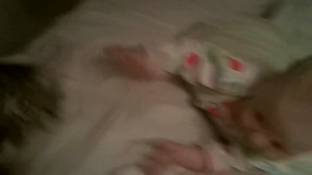 14 06 2011 кувыркун