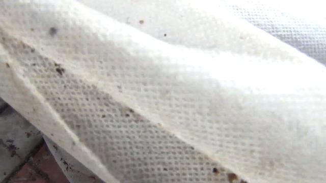 КОГДА ОБРЕЗАТЬ и УКРЫВАТЬ ВИНОГРАД в Средней Полосе ??? ЗАКАЛКА ЛОЗ смотреть онлайн