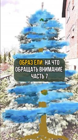Образ ели: На что обращать внимание. Часть 7