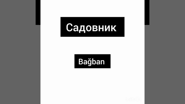 Rus dili dərsləri , 5 dəqiqədə 55 söz öyrən , rus dili oyrenmek . #rusçadersler #rusçakelimeler