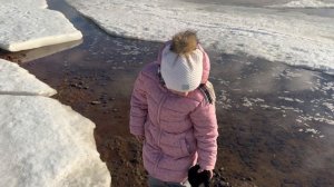 Летисия на заливе