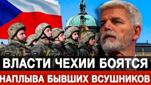 Власти Чехии боятся наплыва бывших ВСУшников