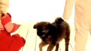 Тини Лав   Развивающий мультфильм для детей часть 2 Развивающий мультик для маленьких   Tiny Love