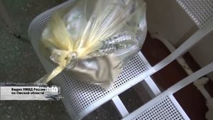 ЖЕСТЬ от 24 08 18_Антенна 7_Омск