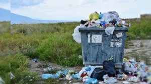 В Петербурге могут ввести экологический сбор на вывоз мусора в область.