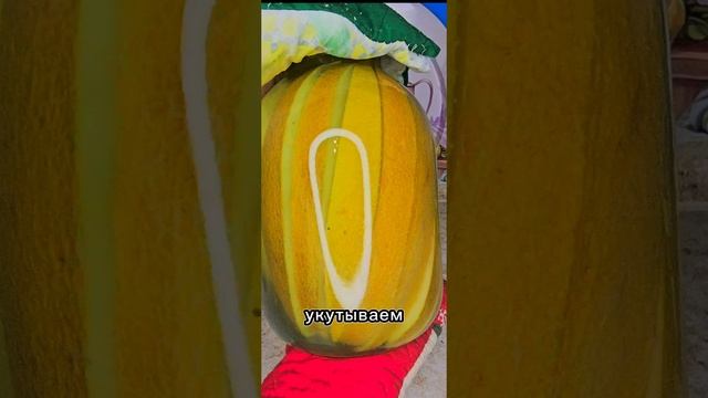 Как сохранить дыню на зиму. Компот из дыни на зиму