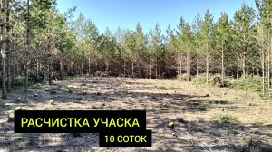 РАСЧИСТКА УЧАСТКА ОТ МЕЛКОЛЕСЬЯ ПОД ЗАСТРОЙКУ / Gardenico