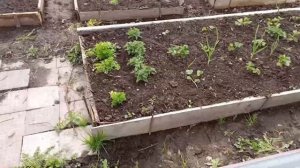 Собираю оцинкованную грядку с полимерным покрытием