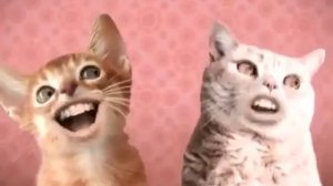 Я не знаю что это