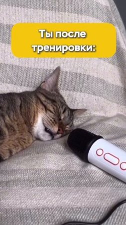 Эффективность тренировок по самбо