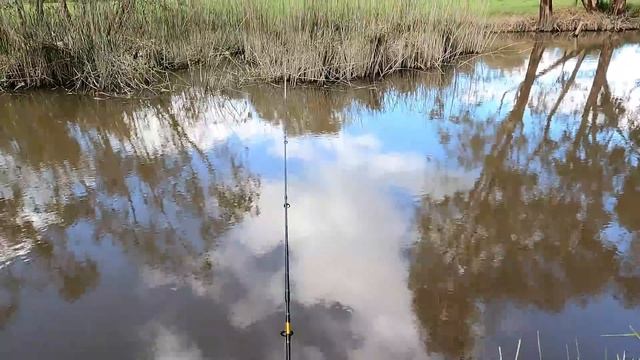 I caught 214cm of fish смотреть онлайн