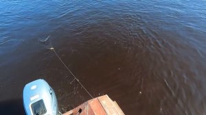 ЗАГОТОВКА ЖИВЦОВ \ РЫБАЛКА НА ПРОДОЛЬНИКИ \ МАКСИМАЛЬНЫЙ УЛОВ