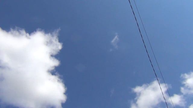 ВЕСЕННИЕ ОБРАБОТКИ САДА и ВИНОГРАДА. Май