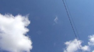 ВЕСЕННИЕ ОБРАБОТКИ САДА и ВИНОГРАДА. Май