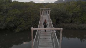 2772958-hd_1920_1080_30fps