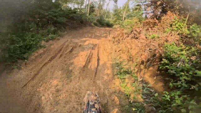 Desafiei os Limites na Trilha ecológica 2024 em IBIRAMA смотреть онлайн