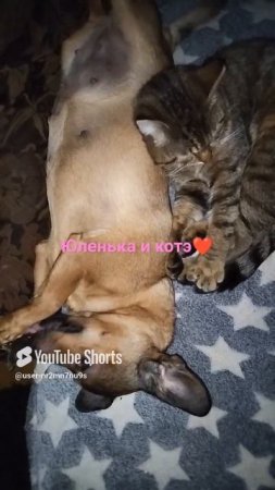 Юленька и Тигруля🥰