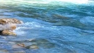 природа Кавказа РОССИИ