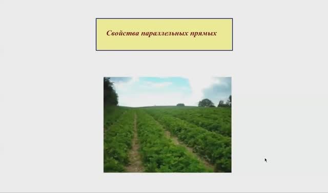 Свойства параллельных прямых. Расстояние между параллельными прямыми.