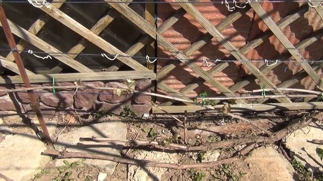 ЗАМОРОЗОК на винограднике 23 мая. Последствия. Восстановление смотреть онлайн