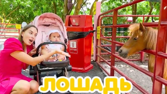 Влад и Никита Крис и Алиса кормят животных на ферме