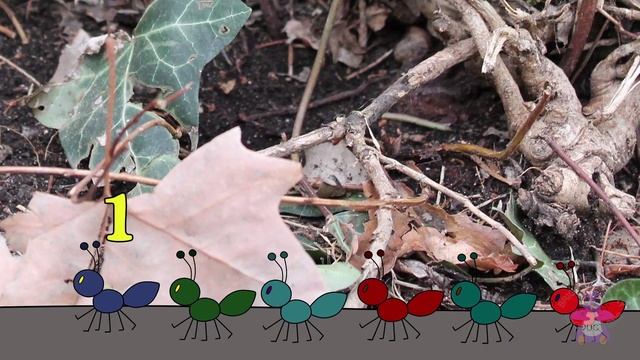 The Ants Go Marching (counting) - Bright New Day Productions смотреть онлайн