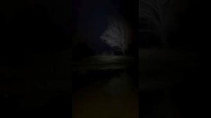 ночной подводный мир