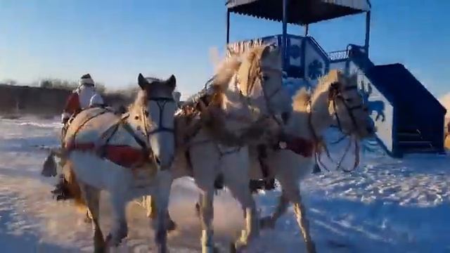 Руководство ВВО исполнило детские желания в Белогорске