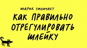 Как правильно отрегулировать шлейку