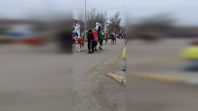 Праздничный Приозерск 2025