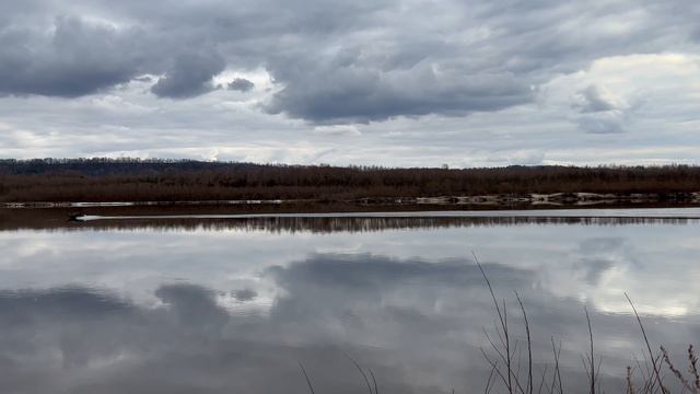 Велопрогулка