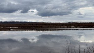 Велопрогулка