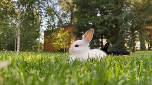 ANDREEFF CLUB 2 года