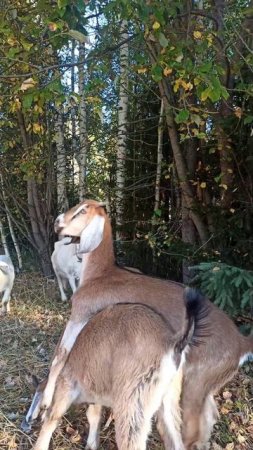 Когда заметил фотографа 😄