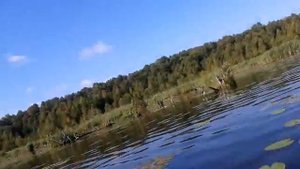 рыбалка река Ширяйка,