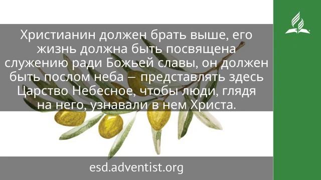 31 марта 2025 Отражение Христа.Под сенью благодати Адвентист