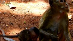 OMG! Breaking My Heart! Poor Baby Million Calling Mom Help| Lori fall Down Coz Bad Female Dolly.