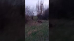 гуляем