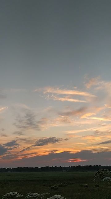 VID_20240630_040417 смотреть онлайн