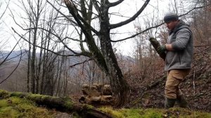 Строил дом из КАМНЕИ и бревен в лесу