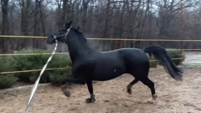 Santa Fe !когда хорошее настроение) смотреть онлайн