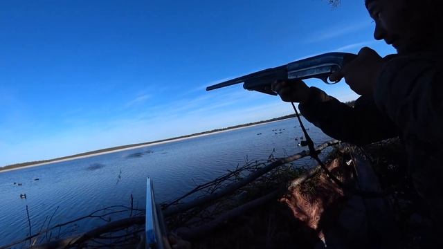 ТУРПАНА МНОГО КАК КОМАРОВ. ОХОТЫ НА УТОК 2024 смотреть онлайн