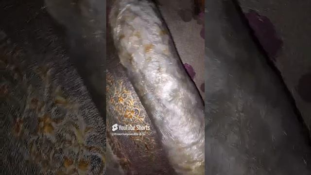 домашние хот-дожки и рулет из лаваша 🙂