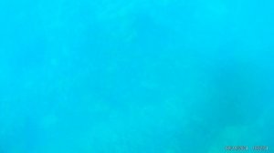 Подводный мир Абхазии (снорклинг)