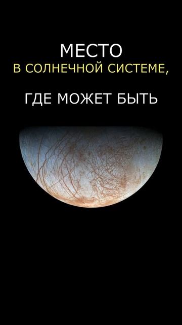 Внеземная жизнь рядом? смотреть онлайн